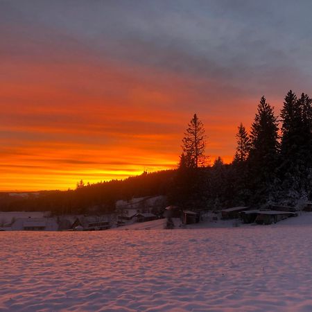 Bergwaldhof Schonach Appartement Schonach im Schwarzwald Buitenkant foto