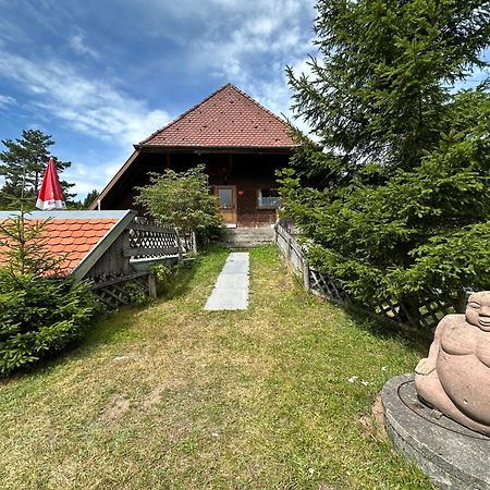 Bergwaldhof Schonach Appartement Schonach im Schwarzwald Buitenkant foto