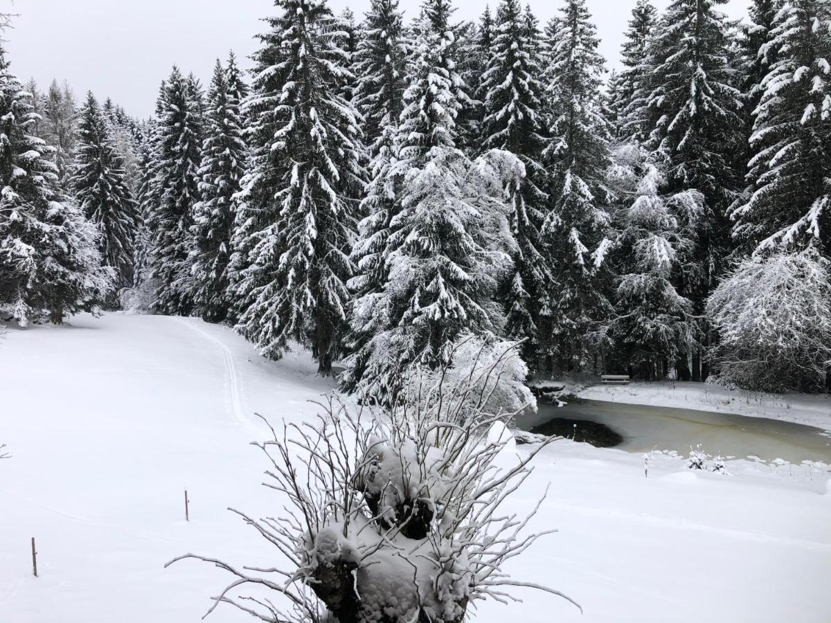 Bergwaldhof Schonach Appartement Schonach im Schwarzwald Buitenkant foto