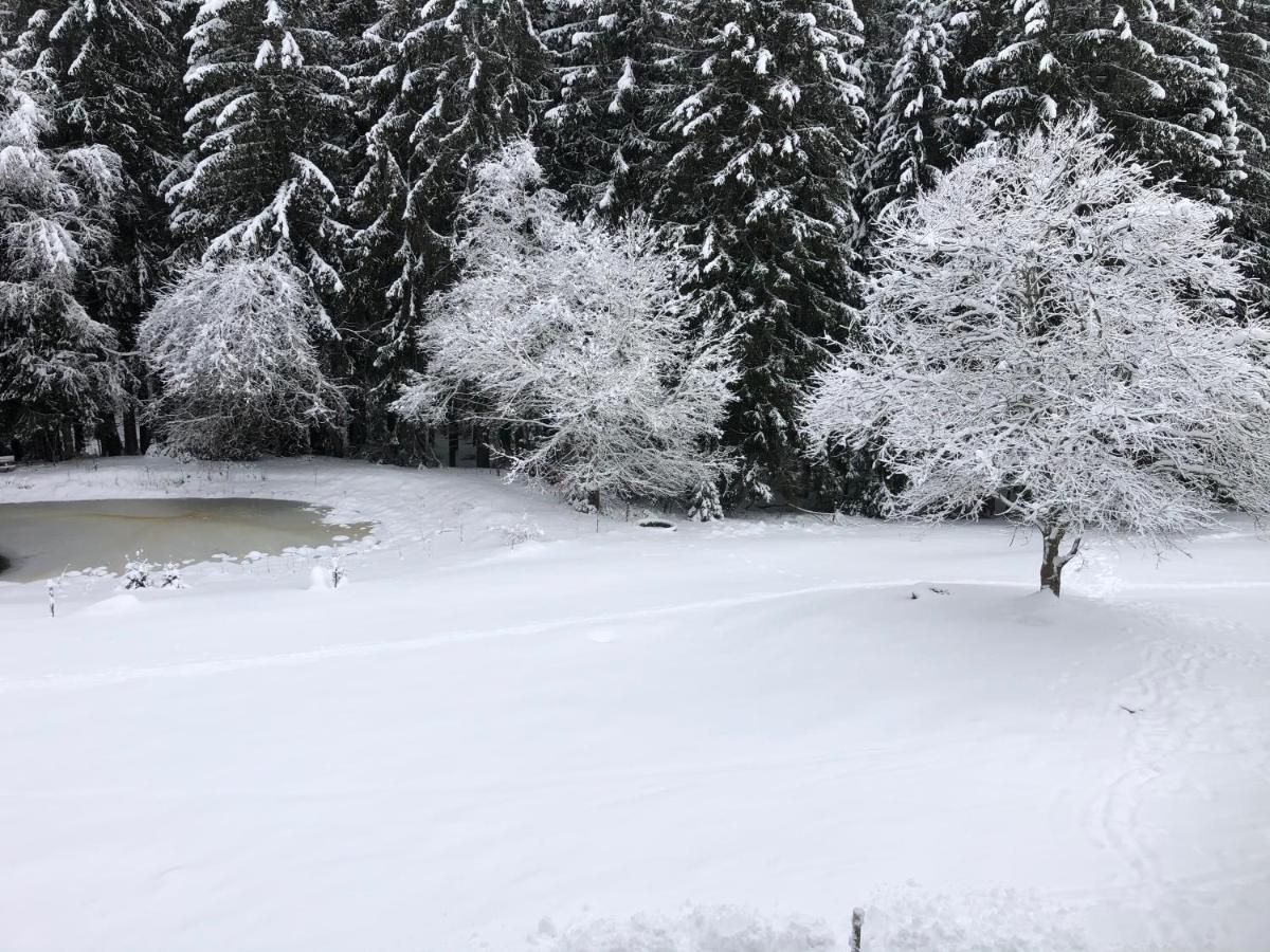 Bergwaldhof Schonach Appartement Schonach im Schwarzwald Buitenkant foto