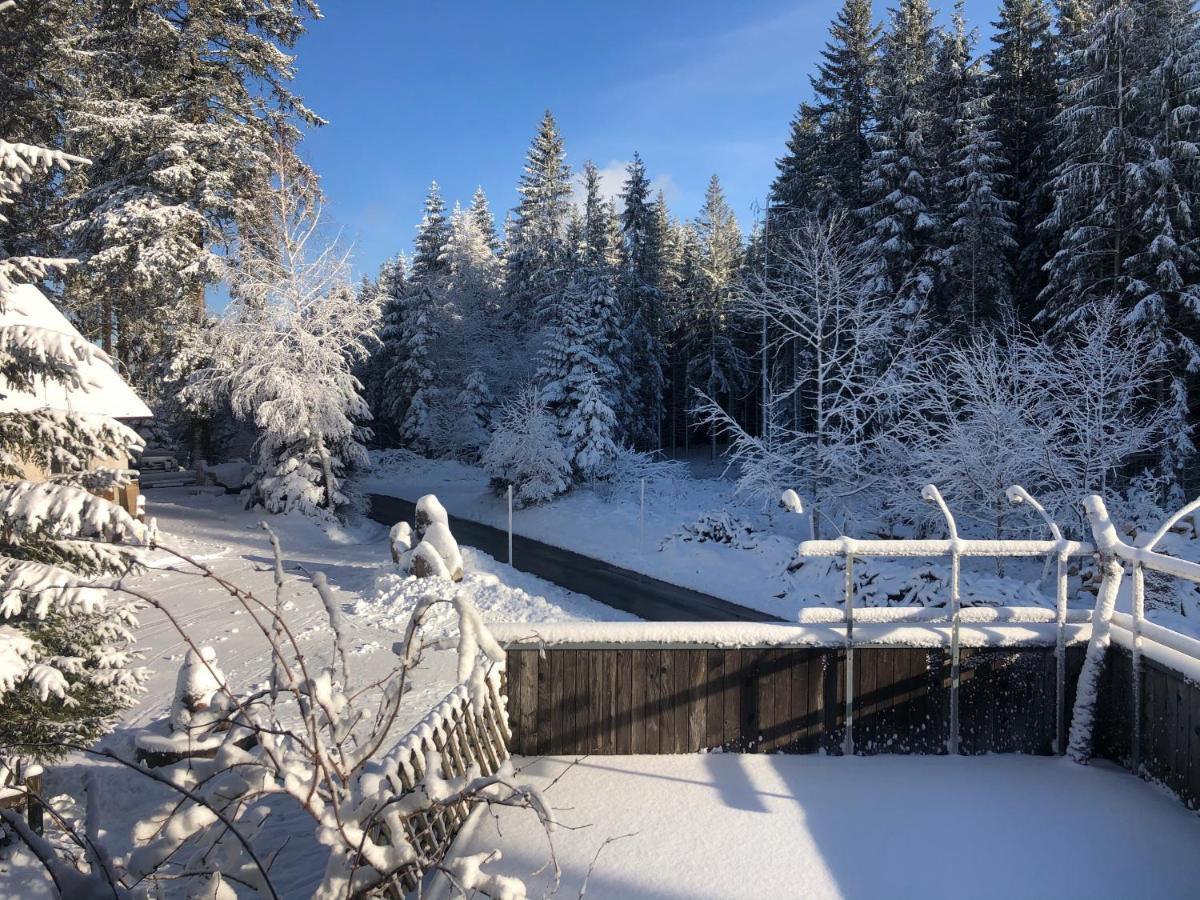 Bergwaldhof Schonach Appartement Schonach im Schwarzwald Buitenkant foto