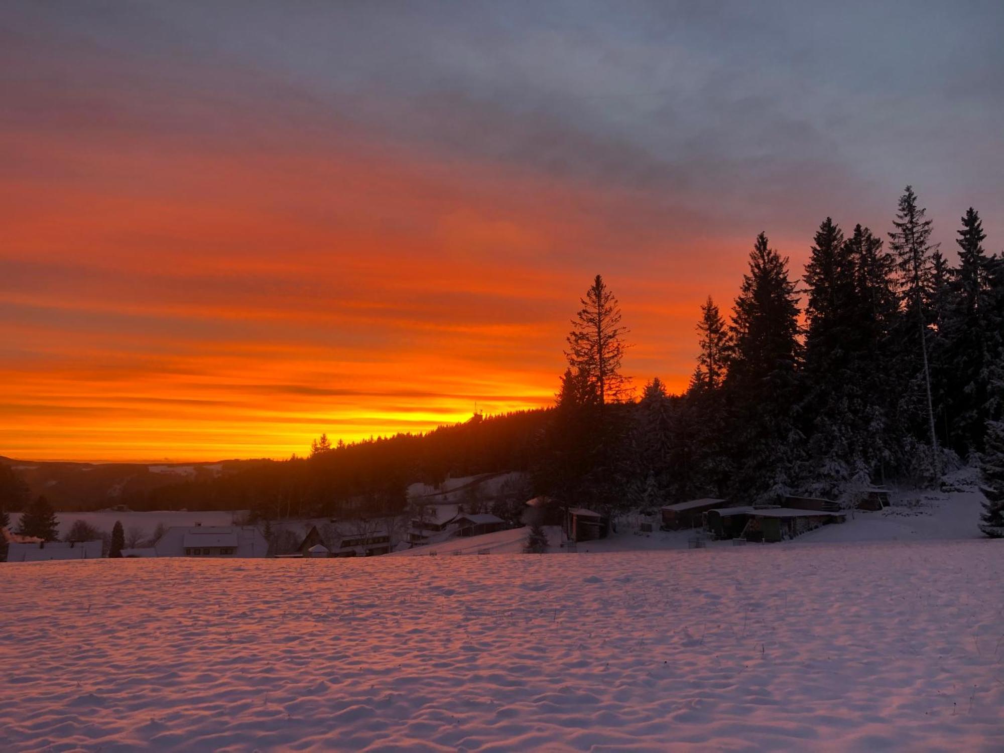 Bergwaldhof Schonach Appartement Schonach im Schwarzwald Buitenkant foto