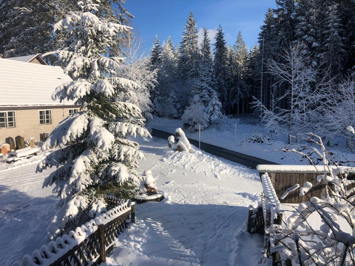 Bergwaldhof Schonach Appartement Schonach im Schwarzwald Buitenkant foto